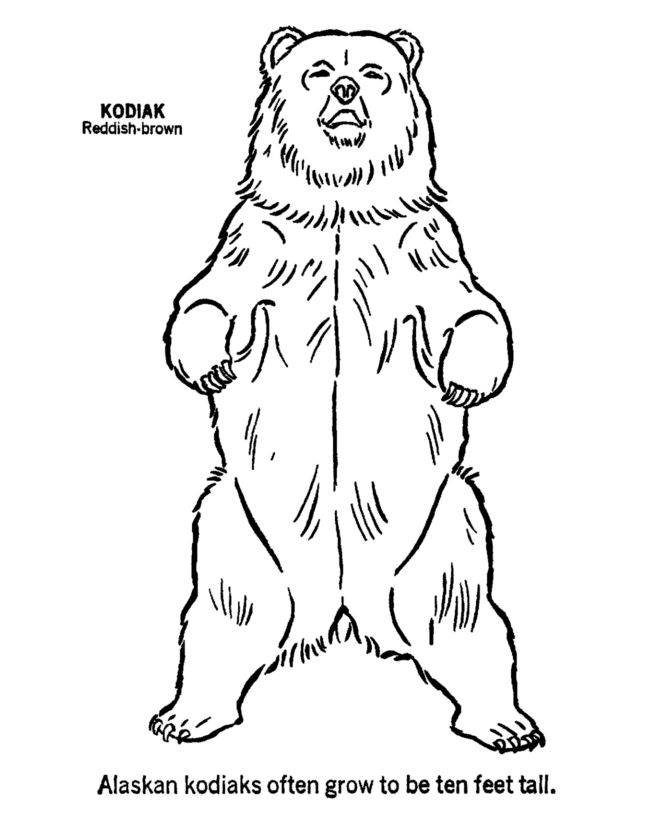 Wild animal coloring pages kodiak bear standing up coloring page and kids activity sheet animal outline animal coloring pages bear coloring pages