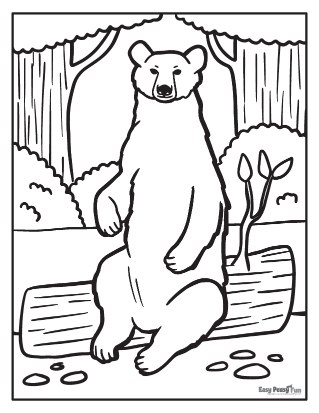 Bear coloring pages