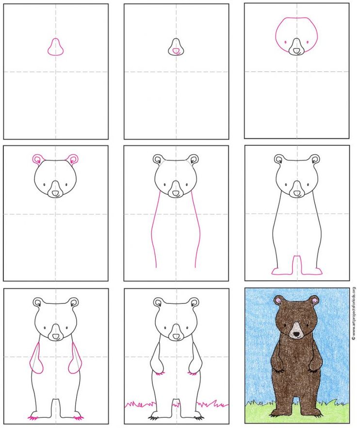 Easy how to draw a bear standing up tutorial and bear coloring page bear coloring pages bear artwork coloring pages