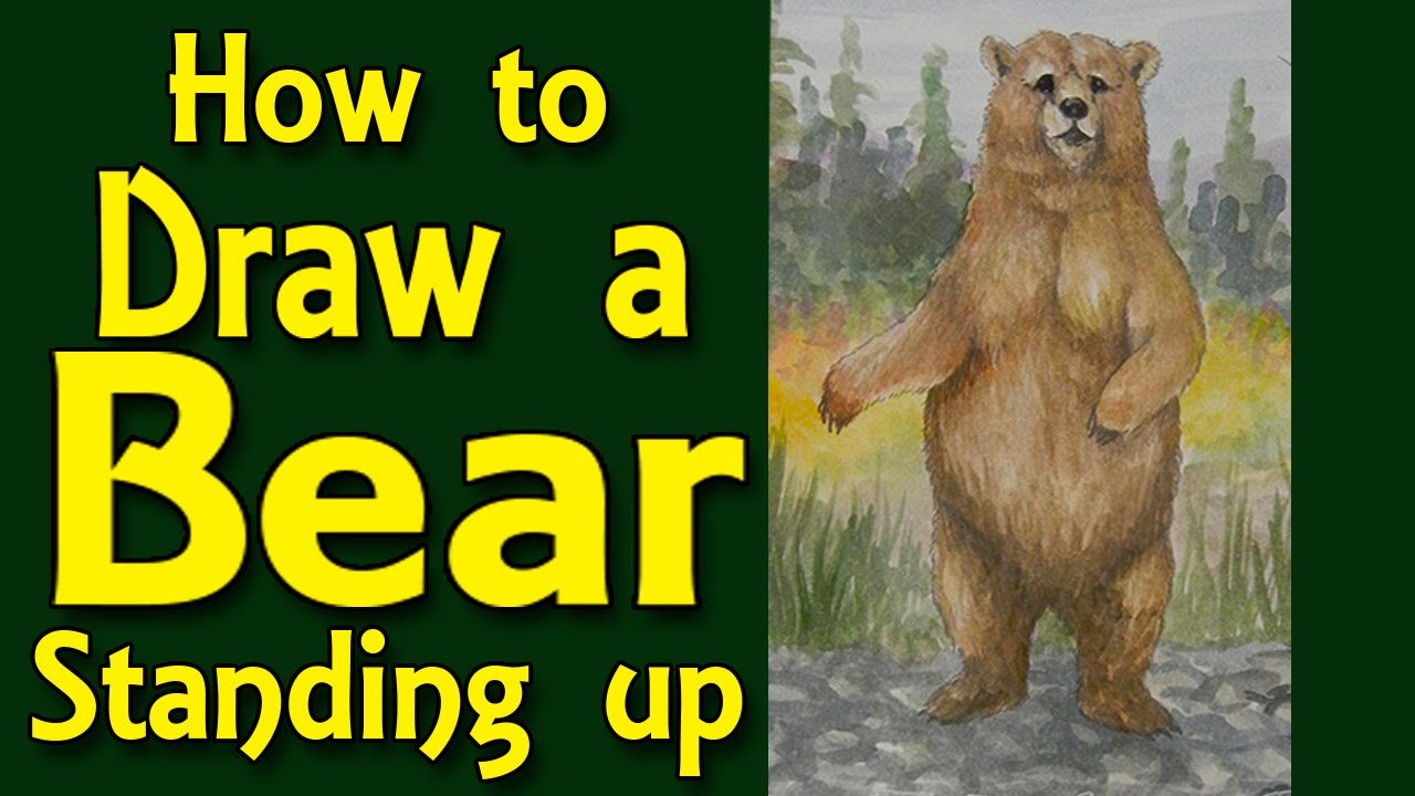 How to draw a bear standing