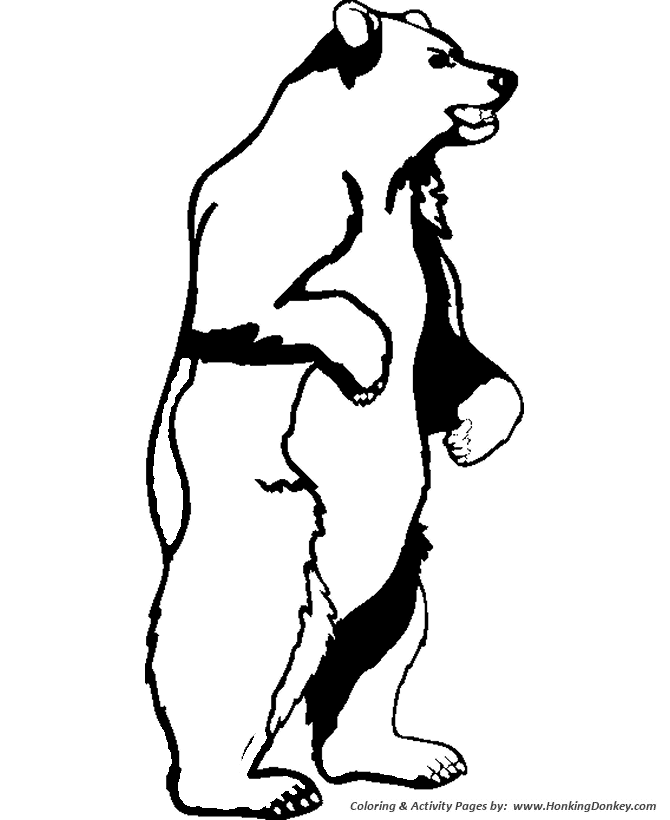 Wild animal coloring pages large standing grizzly bear coloring page and kids activity sheet