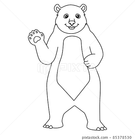 Bear coloring page isolated for kids