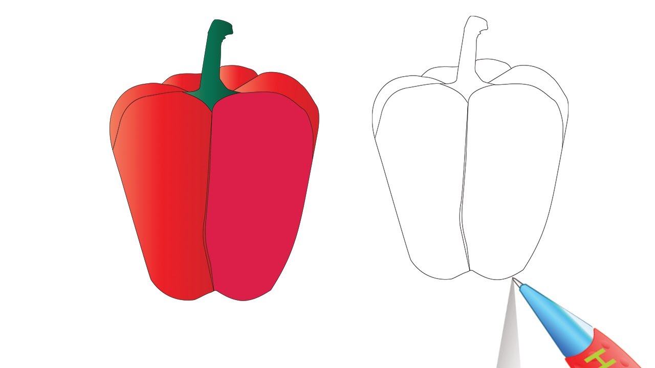 How to draw a bell pepper capsicu red