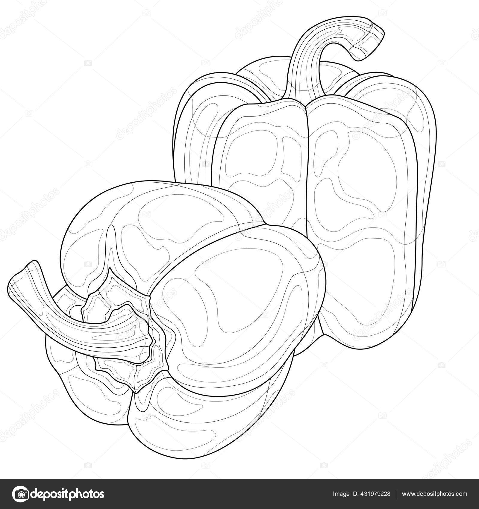 Bell peppers vegetable coloring book antistress children adults zen tangle stock vector by vlasenkoekaterinkagmail