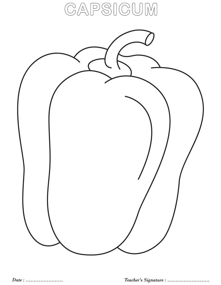 Capsicum colorg page colorg pages colorg pages for kids color