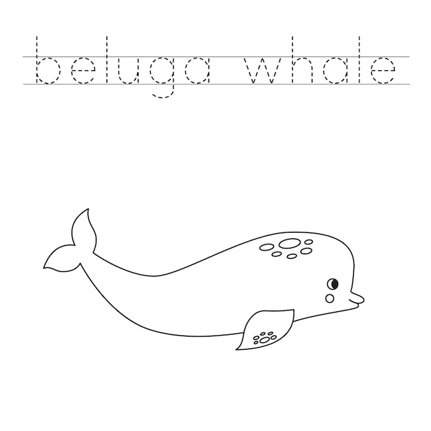 Premium vector trace the letters and color cartoon beluga whale handwriting practice for kids