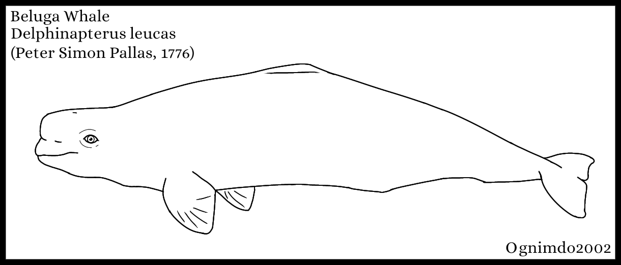 Ognimdos coloring page