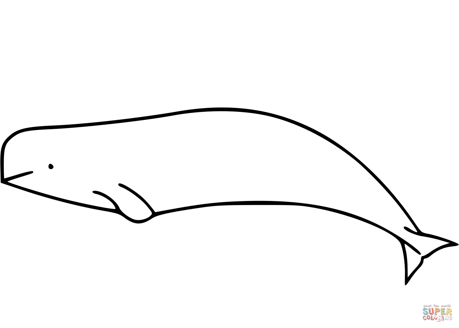 Beluga whale coloring page free printable coloring pages