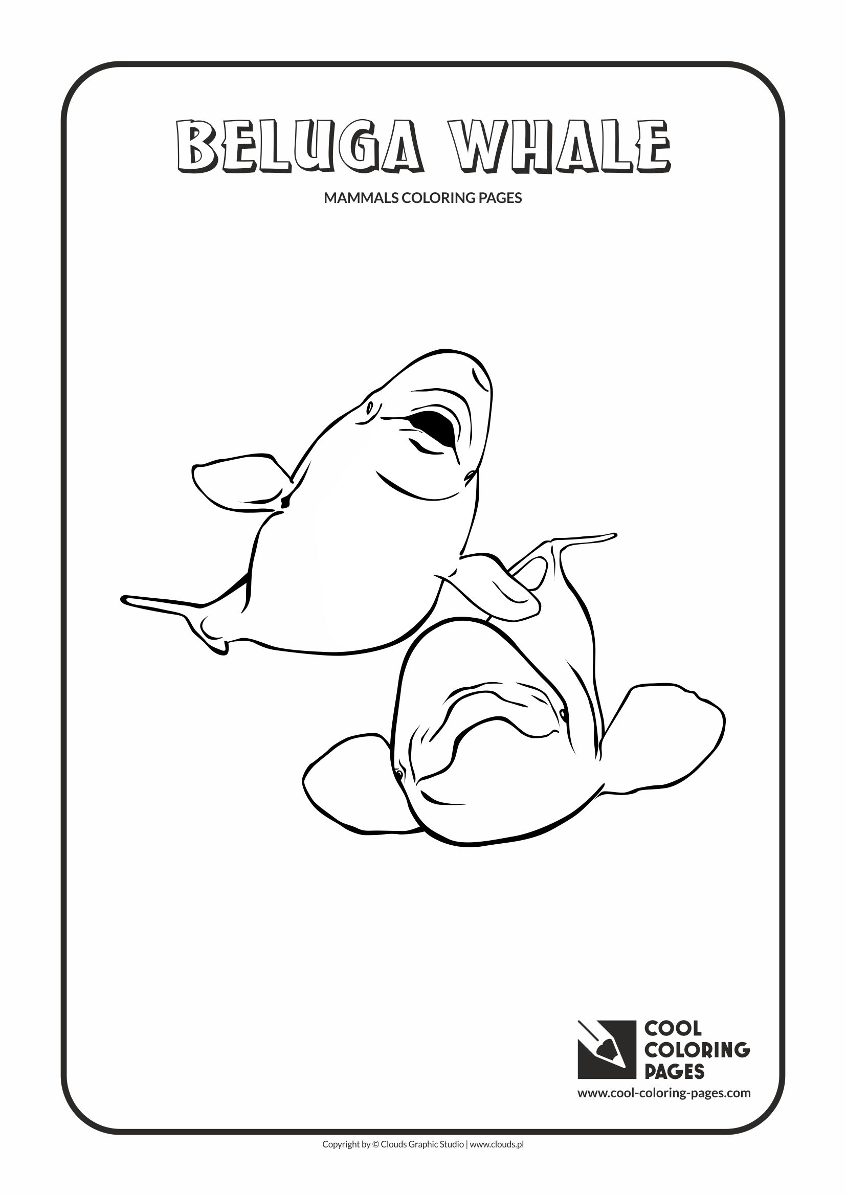 Cool coloring pages beluga whale coloring page