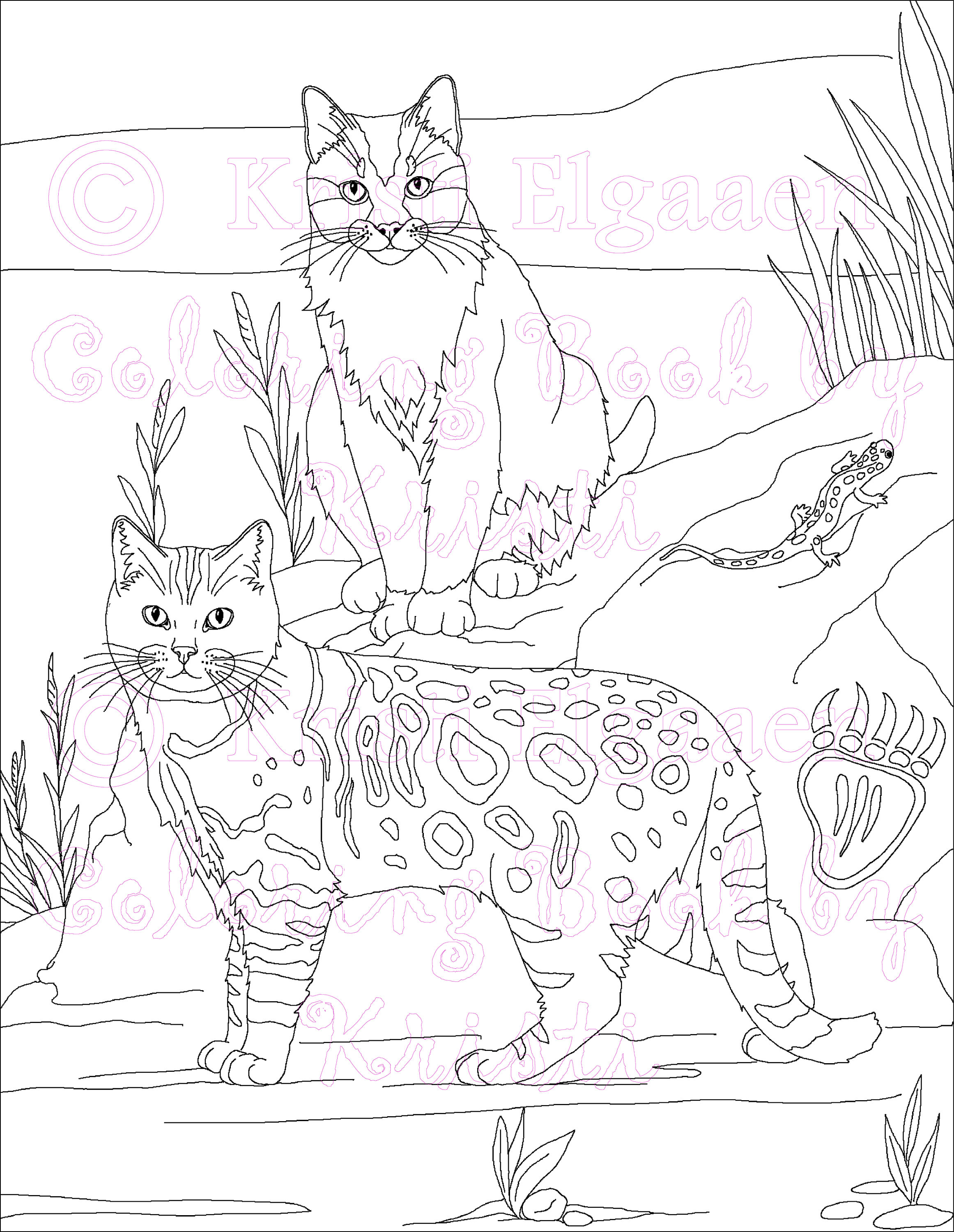 Little witches and wild things adult coloring page cat coloring page fantasy coloring digital download coloring page coloring book