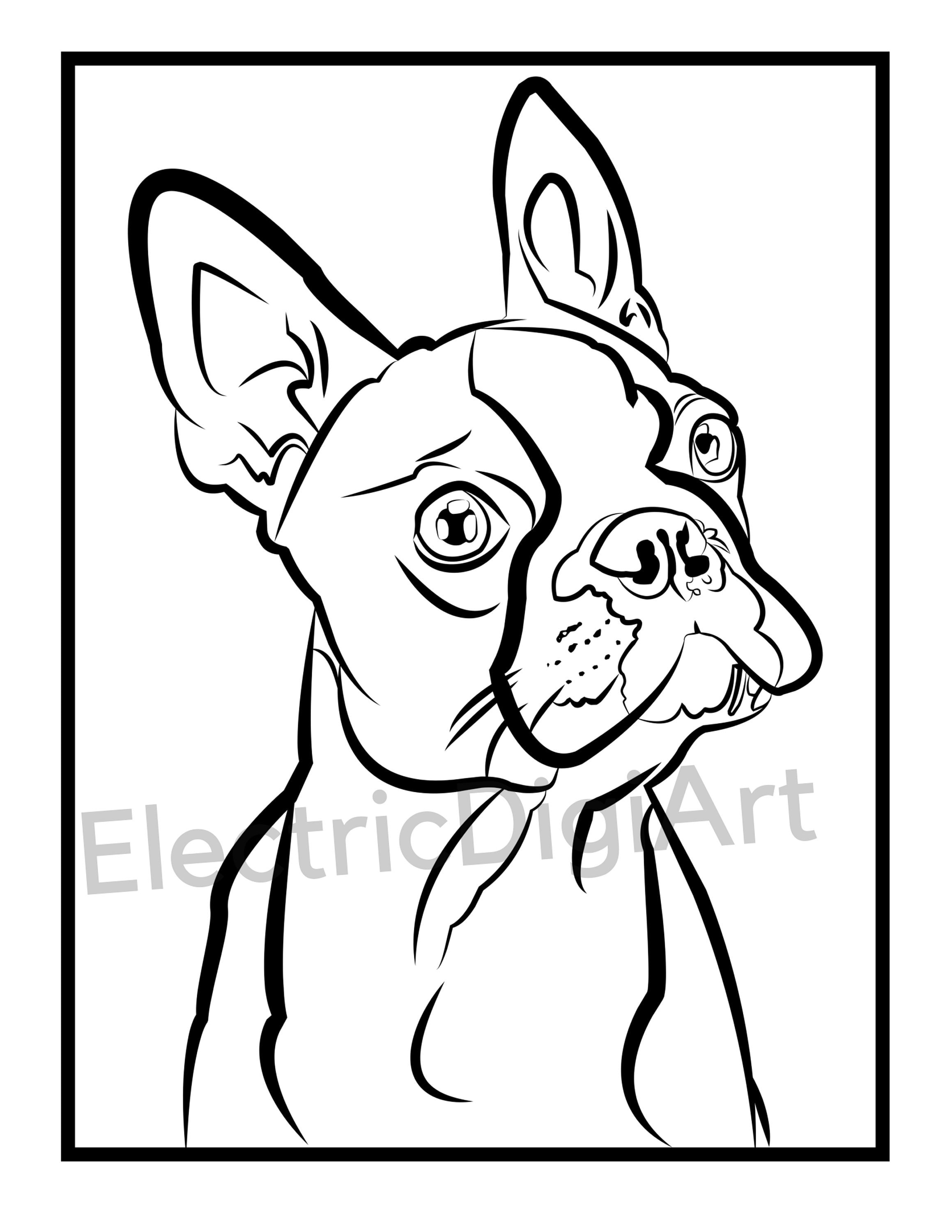 Boston terrier coloring sheet