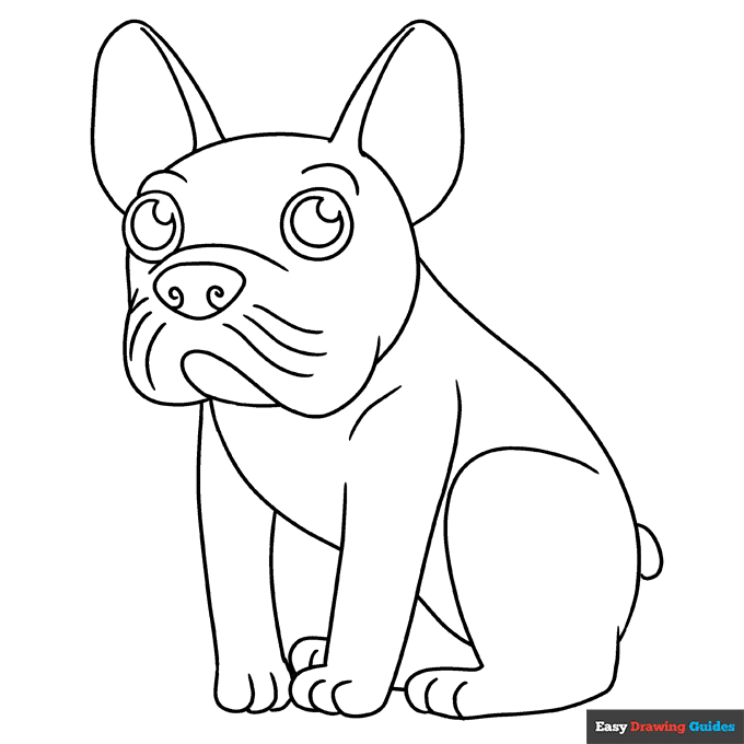 French bulldog coloring page easy drawing guides