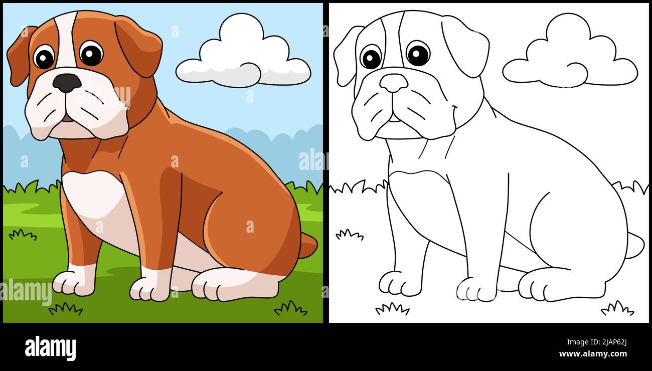 Bulldog dog coloring page colored illustration stock vector image art