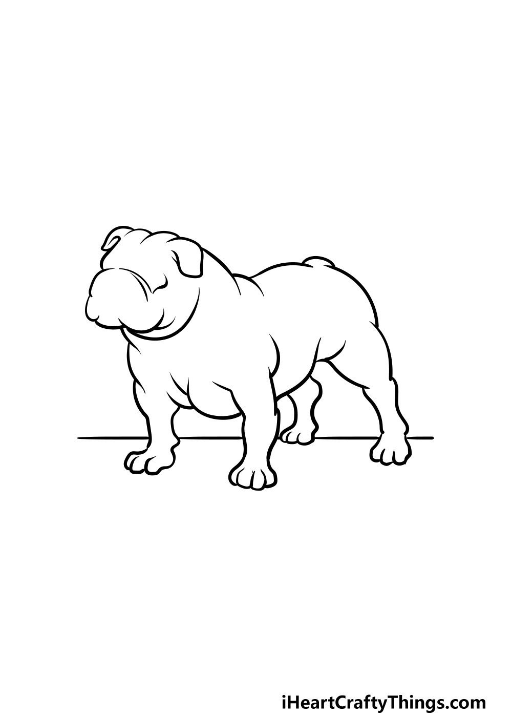 Bulldog drawing