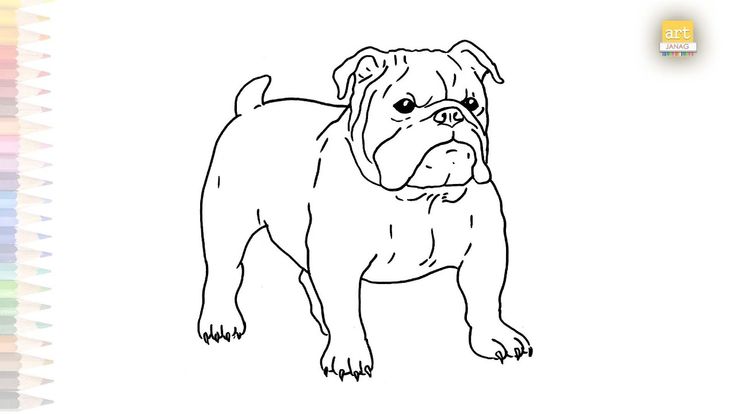 Bulldog drawing video easy dibujos de bulldogs how to draw a bulldog step by step easy arts dog coloring book dog coloring page bulldog drawing