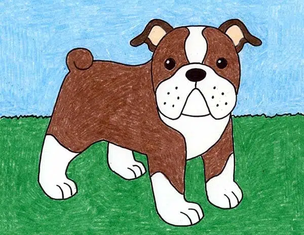 Easy how to draw a bulldog tutorial and bulldog coloring page