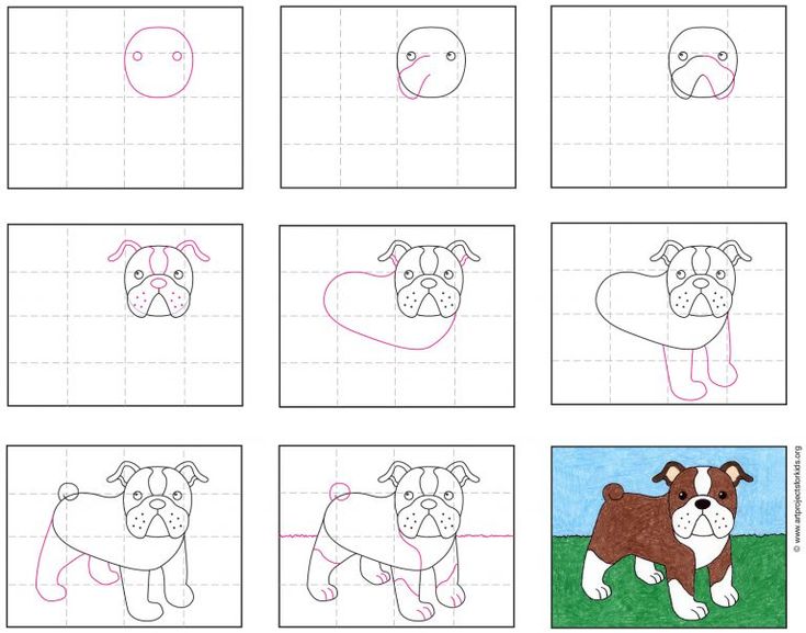 Easy how to draw a bulldog tutorial and bulldog coloring page easy drawings for kids elementary drawing coloring pages