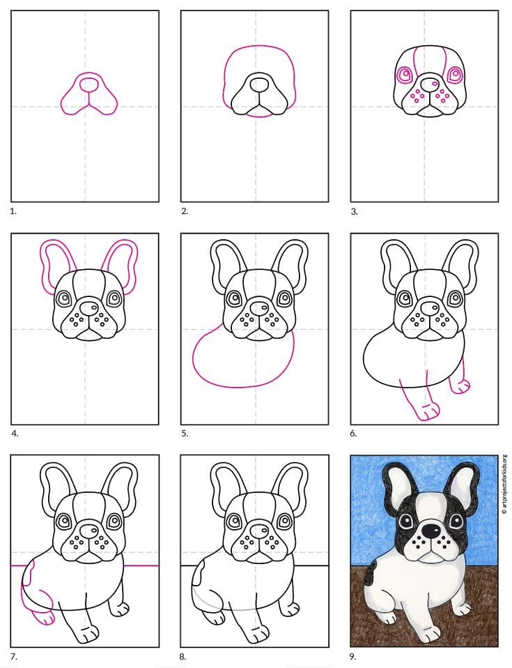 Easy how to draw a french bulldog tutorial and french bulldog coloring page french bulldog art french bulldog drawing bulldog art