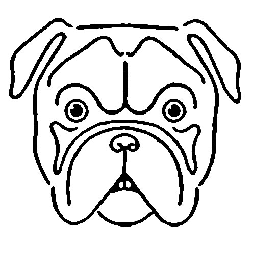 Dog drawing bulldog pug dachshund