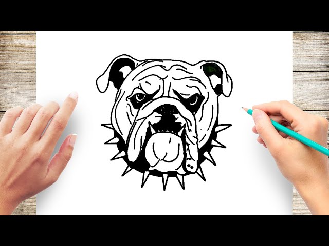 How to draw a bulldog face