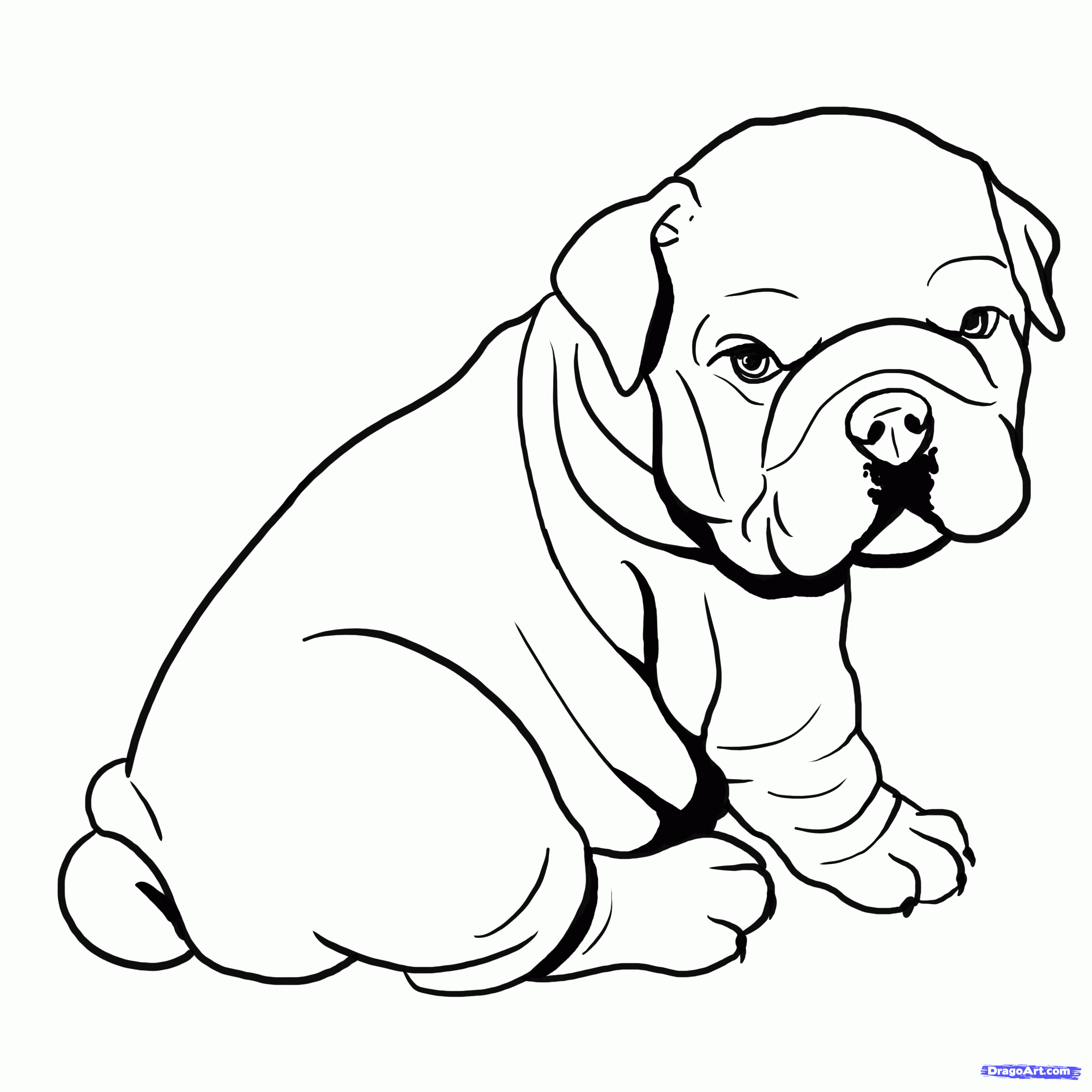 How to draw a bulldog english bulldog step bulldogs drawing bulldog drawing dog coloring page puppy drawing