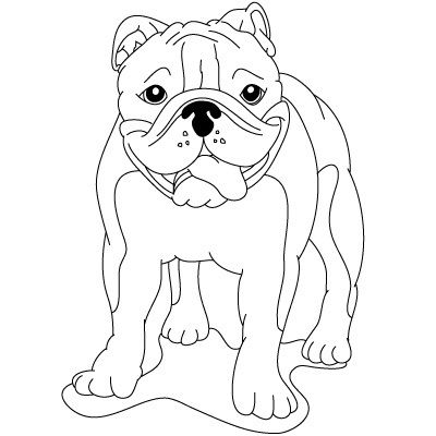 How to draw easy bulldog drawings sketch template bulldog drawing english bulldog art dog coloring page