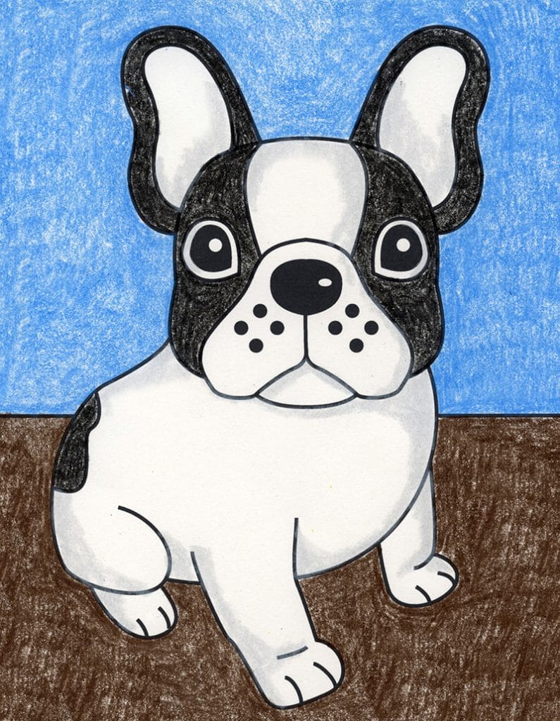 Easy how to draw a bulldog face and bulldog face coloring page