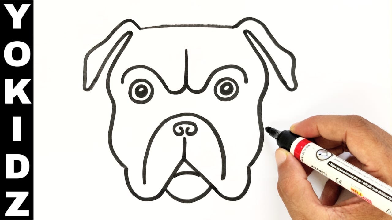 Bulldog drawing easy bulldog face drawing easy