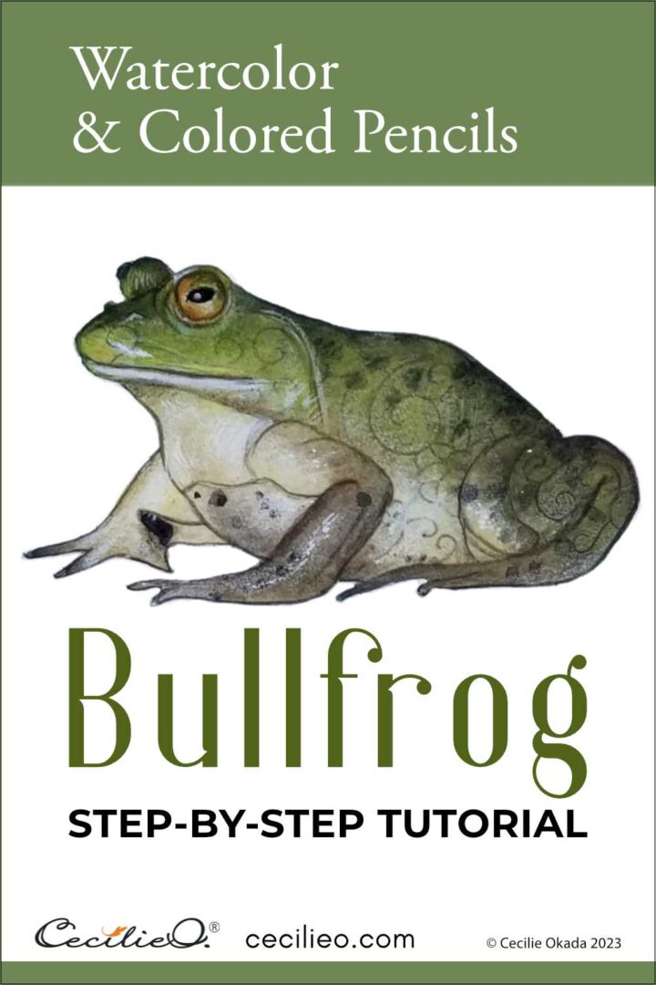 Paint a stunning bullfrog with watercolor and colored pencils