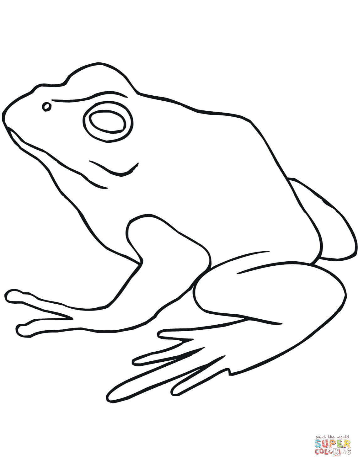 American bullfrog coloring page free printable coloring pages