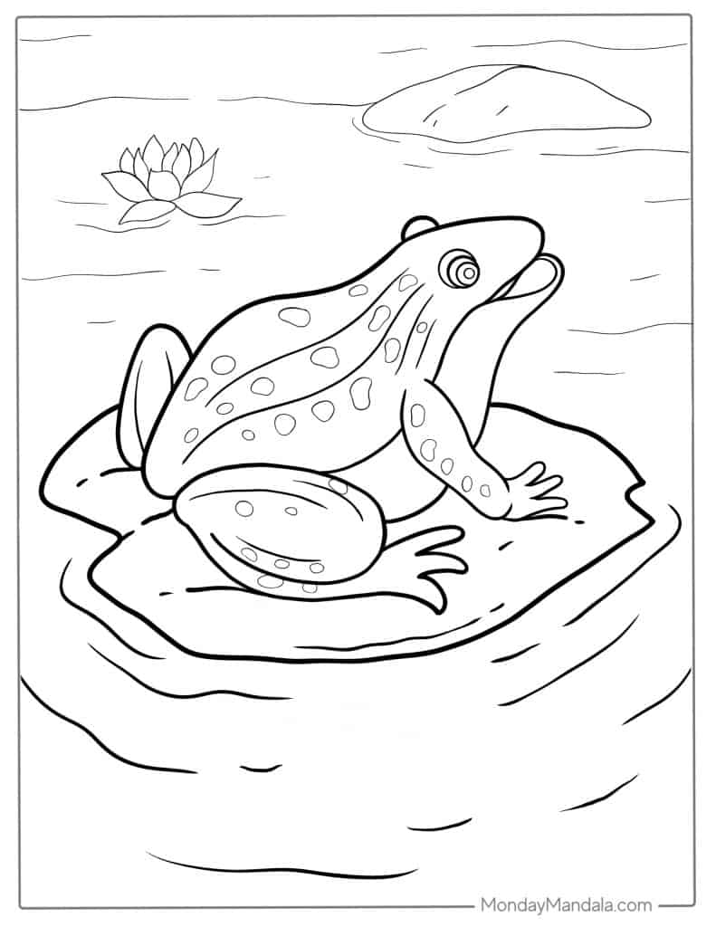 Frog coloring pages free pdf printables