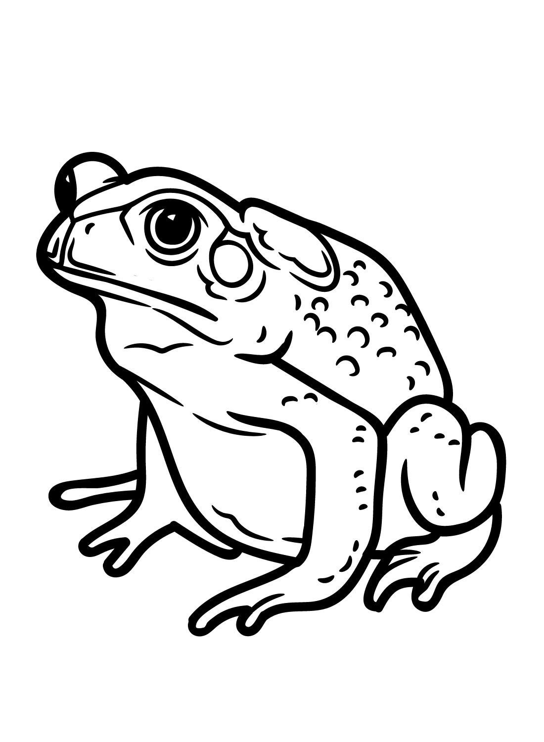 Toad coloring pages printable for free download