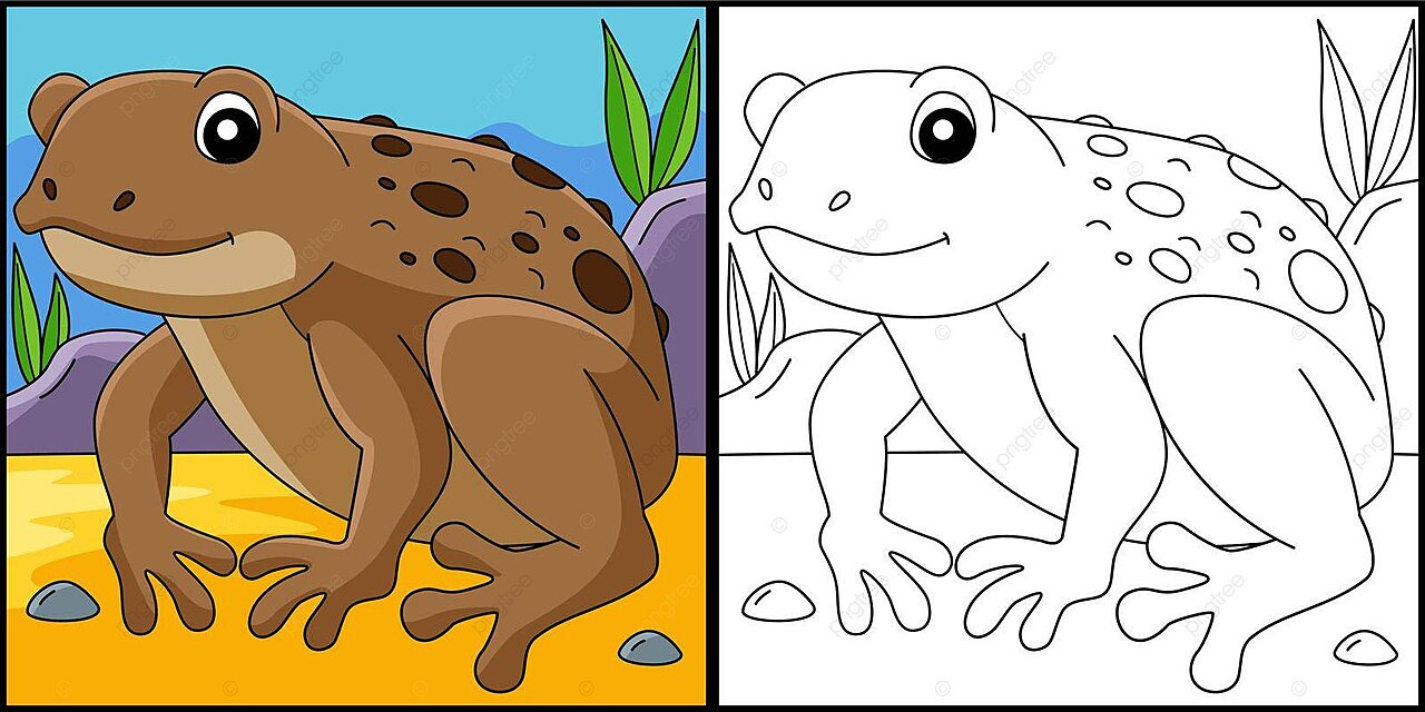 Cane toad frog animal coloring page illustration coloring colouring fun vector animal drawing frog drawing rat drawing png and vector with transparent background for free download