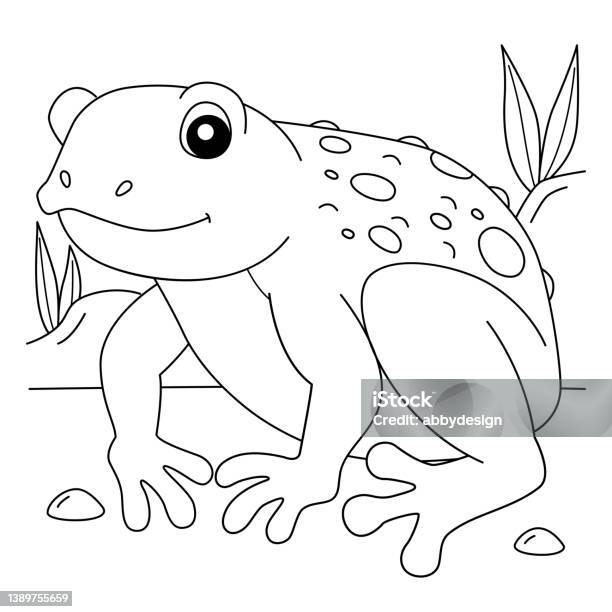 Cane toad frog animal coloring page isolated stock illustration