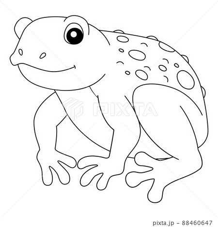 Cane toad frog animal coloring page isolated