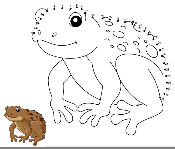 Cane toad stock illustrations royalty