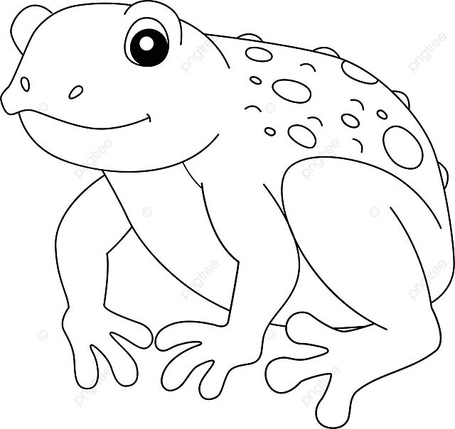 Cane toad frog animal coloring page isolated australian drawing giant neotropical toad vector animal drawing frog drawing wing drawing png and vector with transparent background for free download