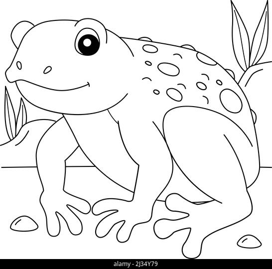 Cane toad frog animal coloring page for kids stock vector image art
