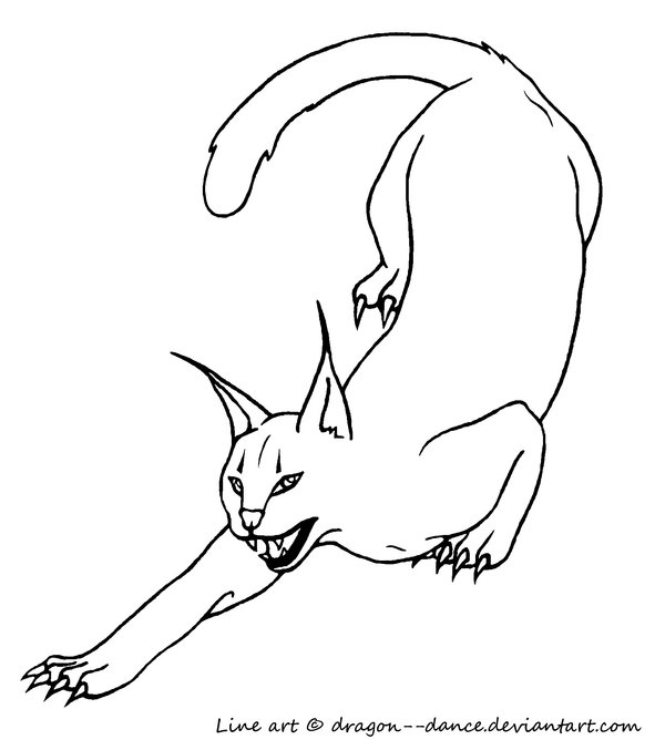 The caracal coloring book my storybook