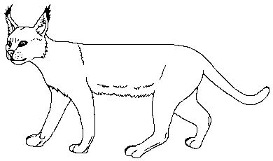 Free caracal lineart by galianogangster on