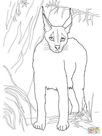 Ral ral humanoid sketch art