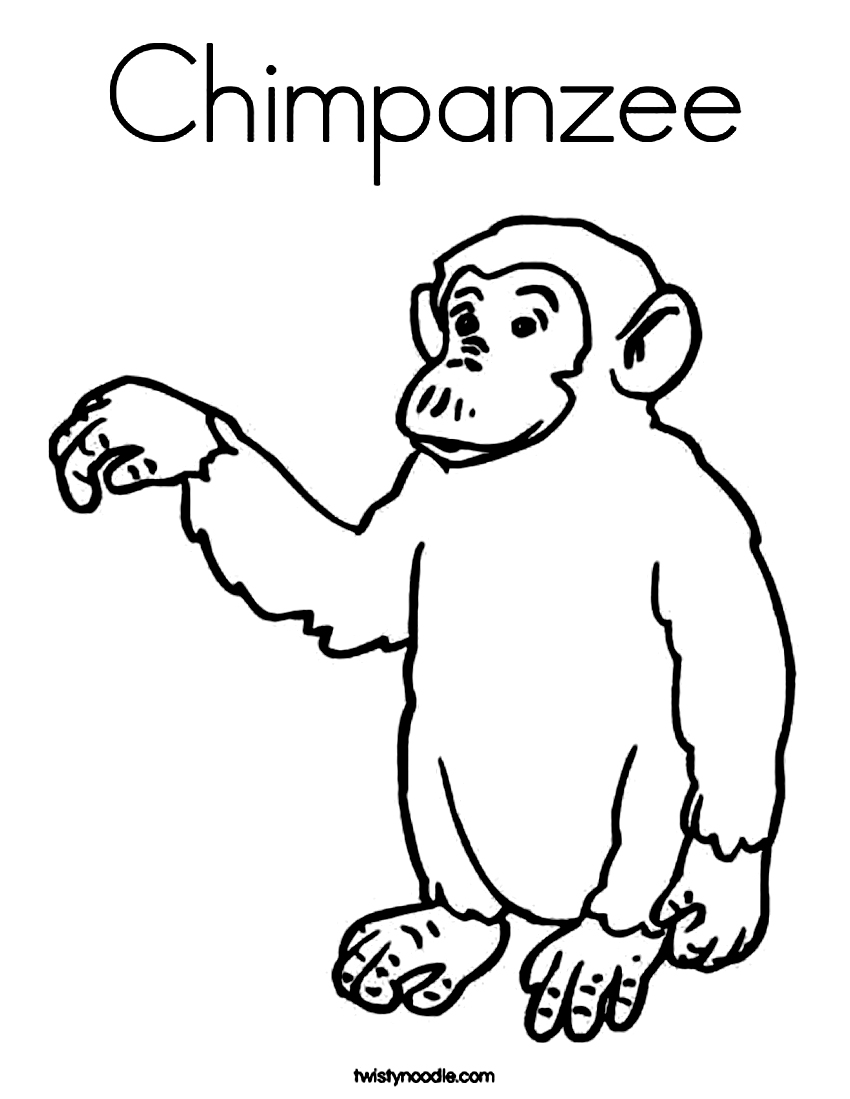 Free printable chimpanzee coloring pages for kids
