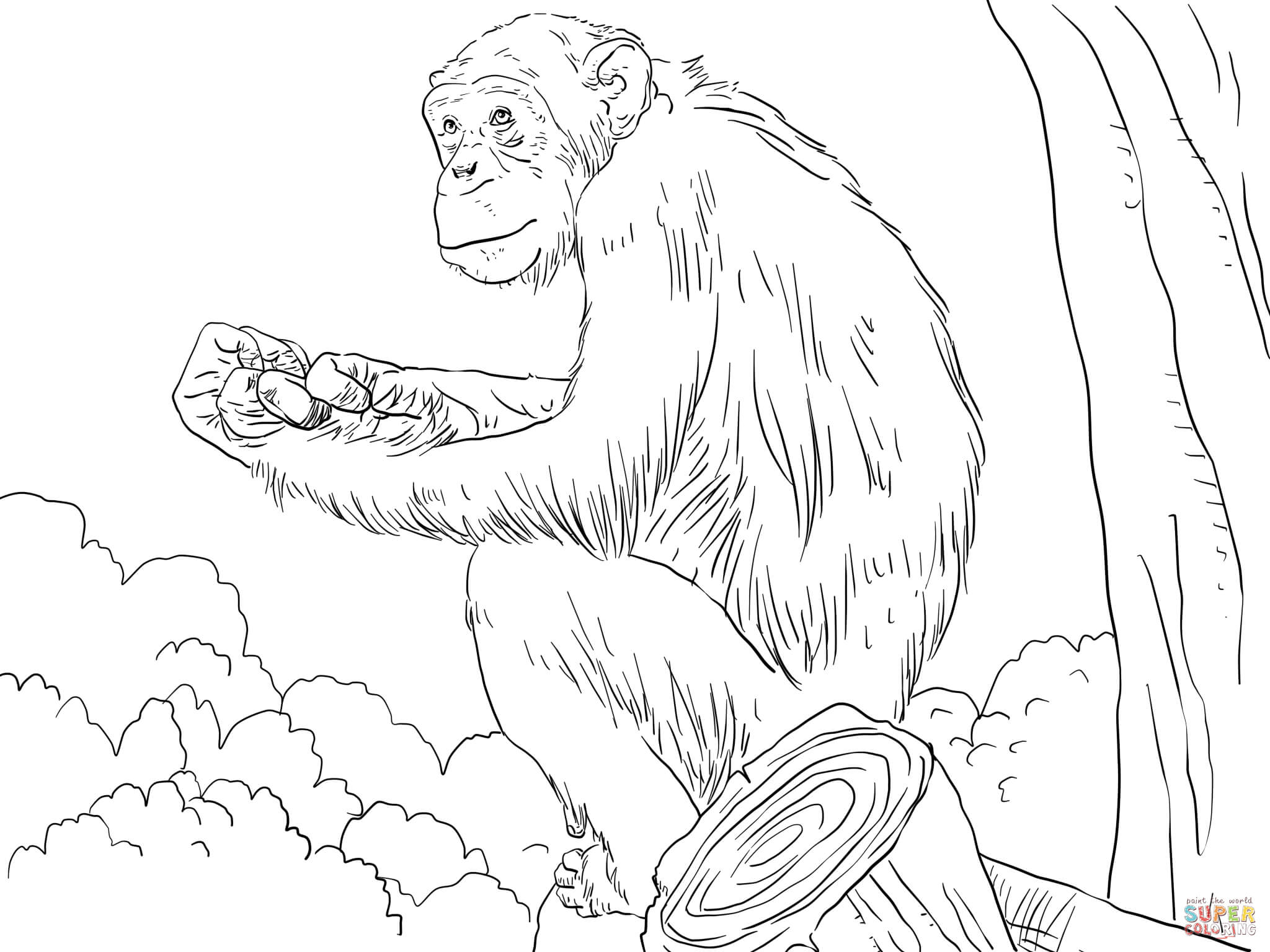Mon chimpanzee coloring page free printable coloring pages
