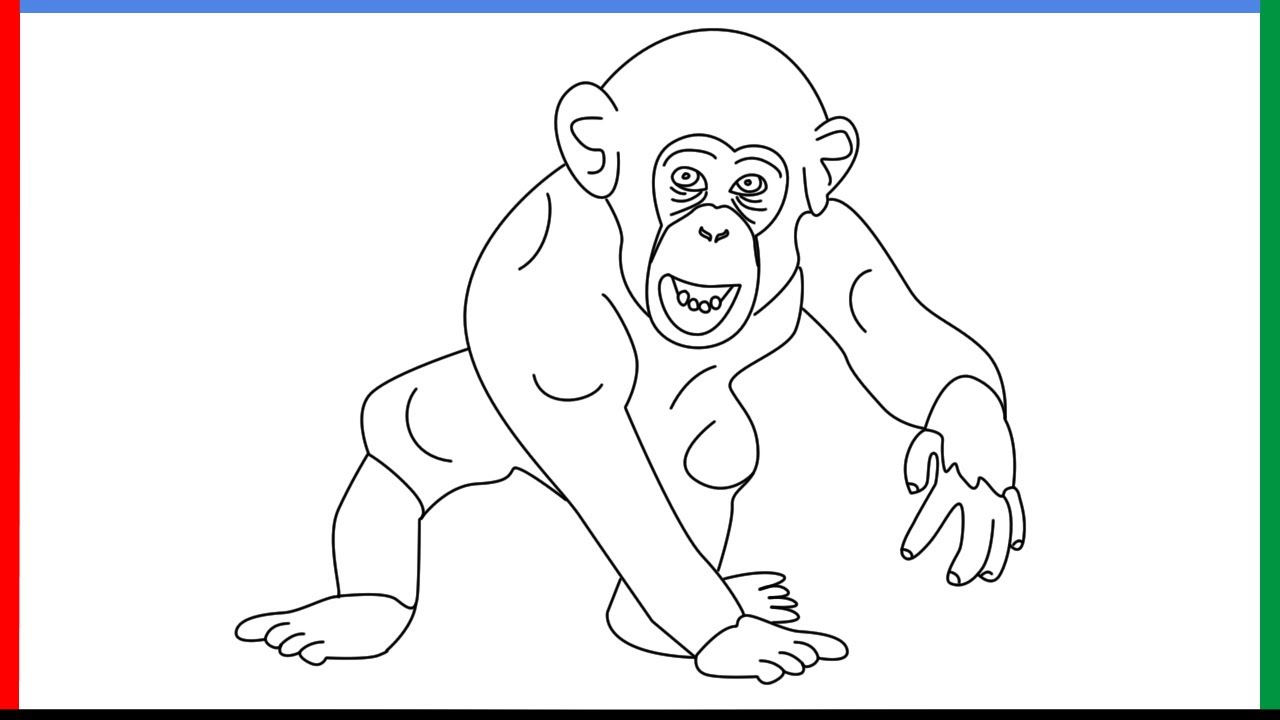 How to draw a chimpanzee step by step for beginners