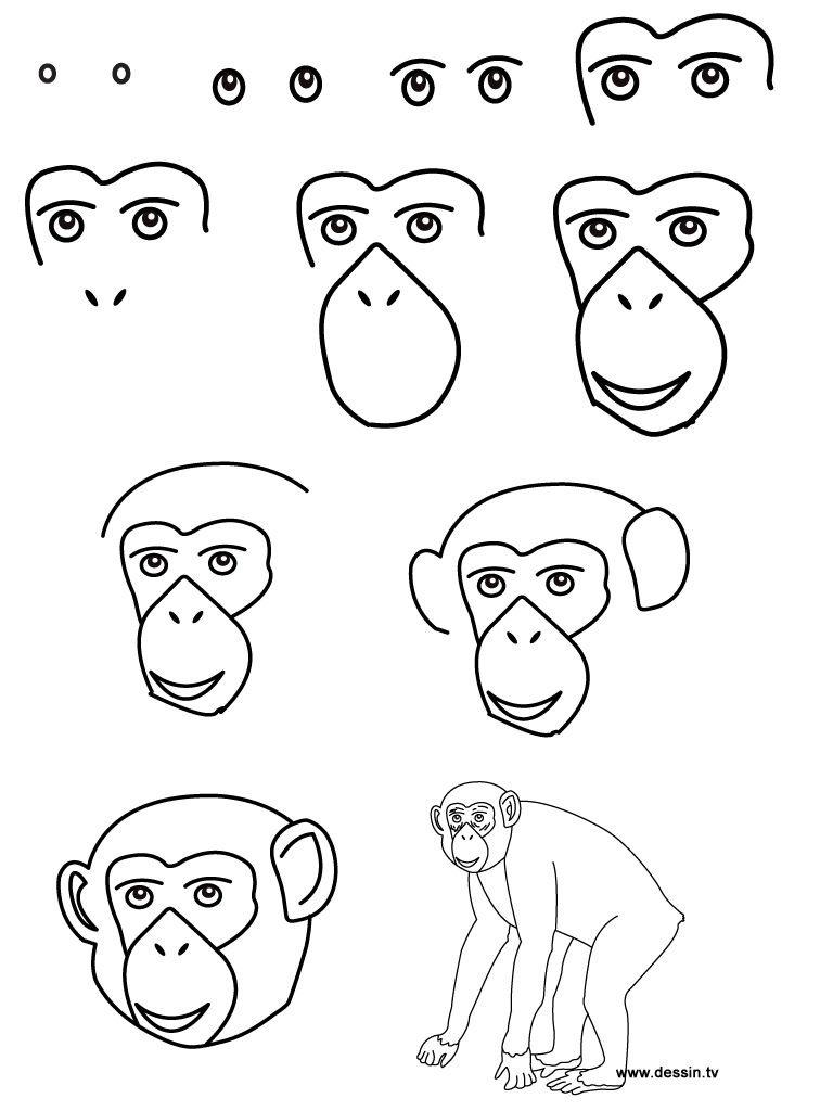 Drawing chimpanzee easy drawings creative drawing art drawings for kids