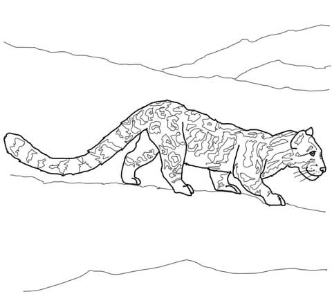 Clouded leopard coloring page free printable coloring pages