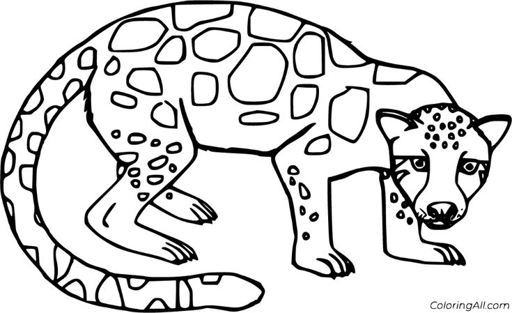 Clouded leopard coloring pages clouded leopard coloring pages color