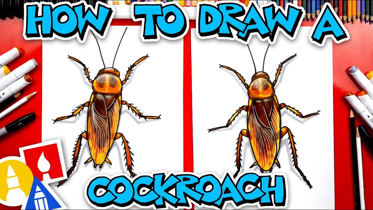 How to draw a cockroach