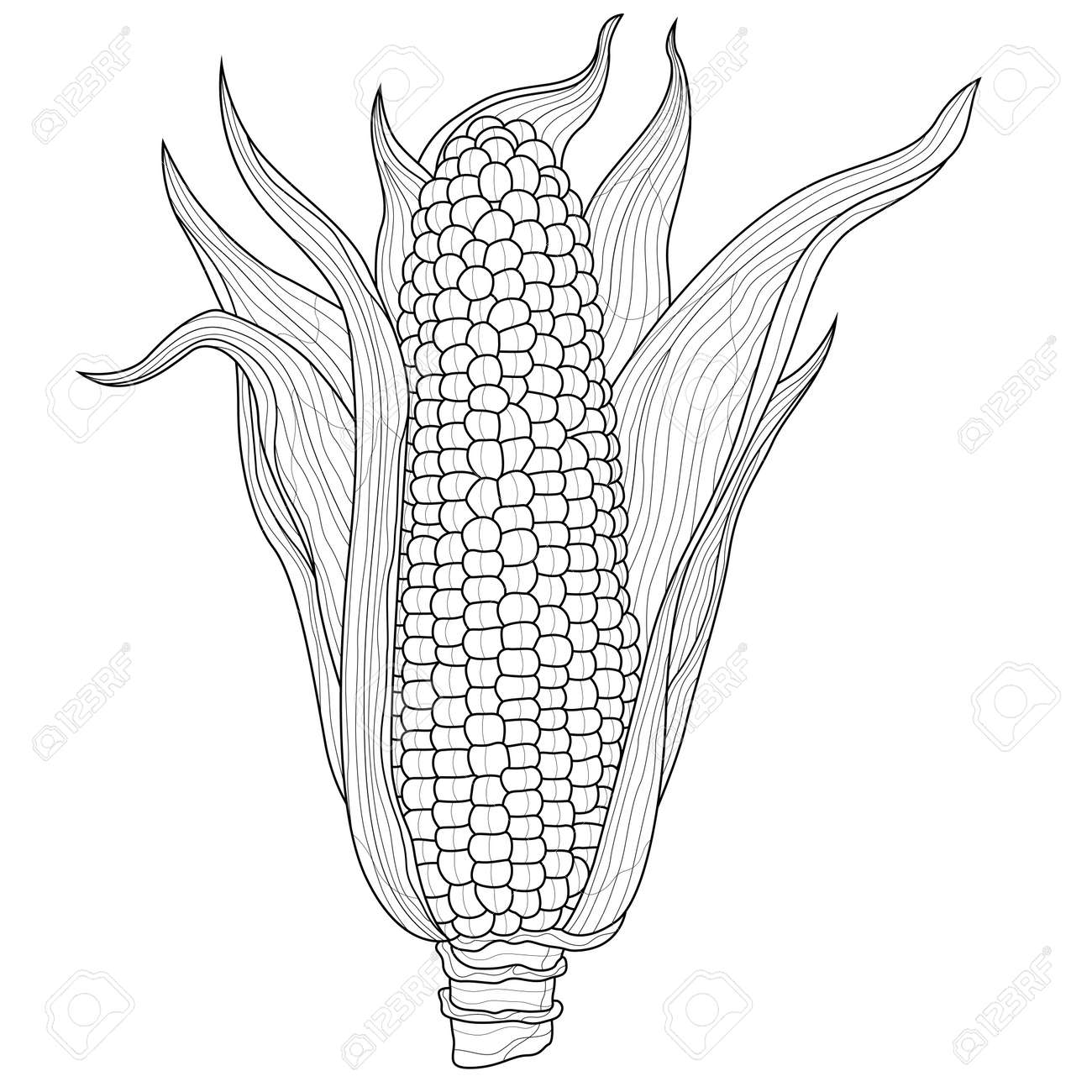 Corn vegetablecoloring book antistress for children and adultszen