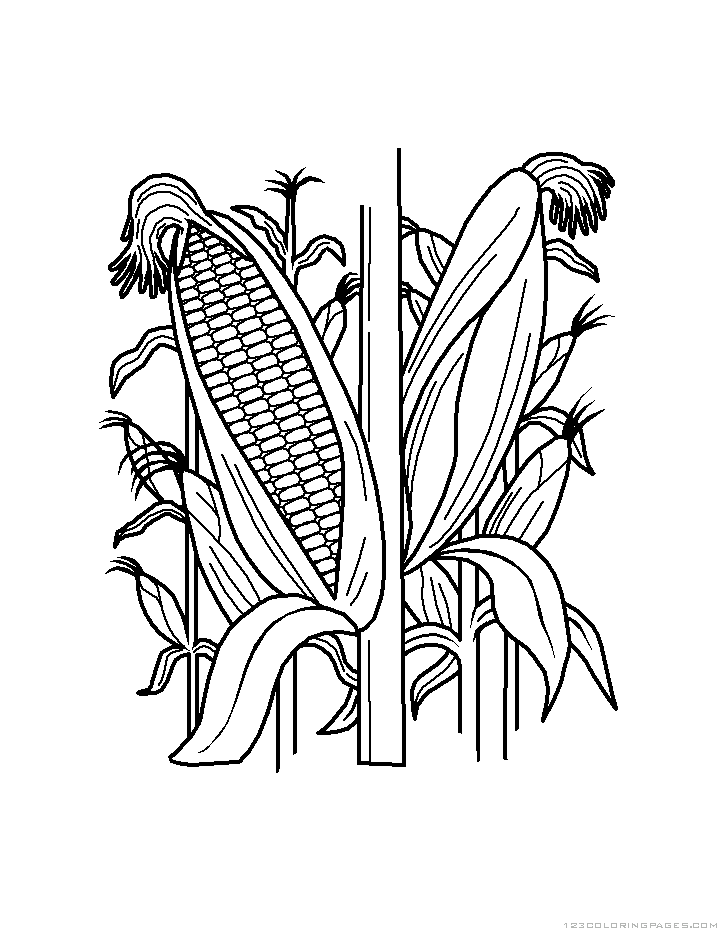 Corn coloring pages